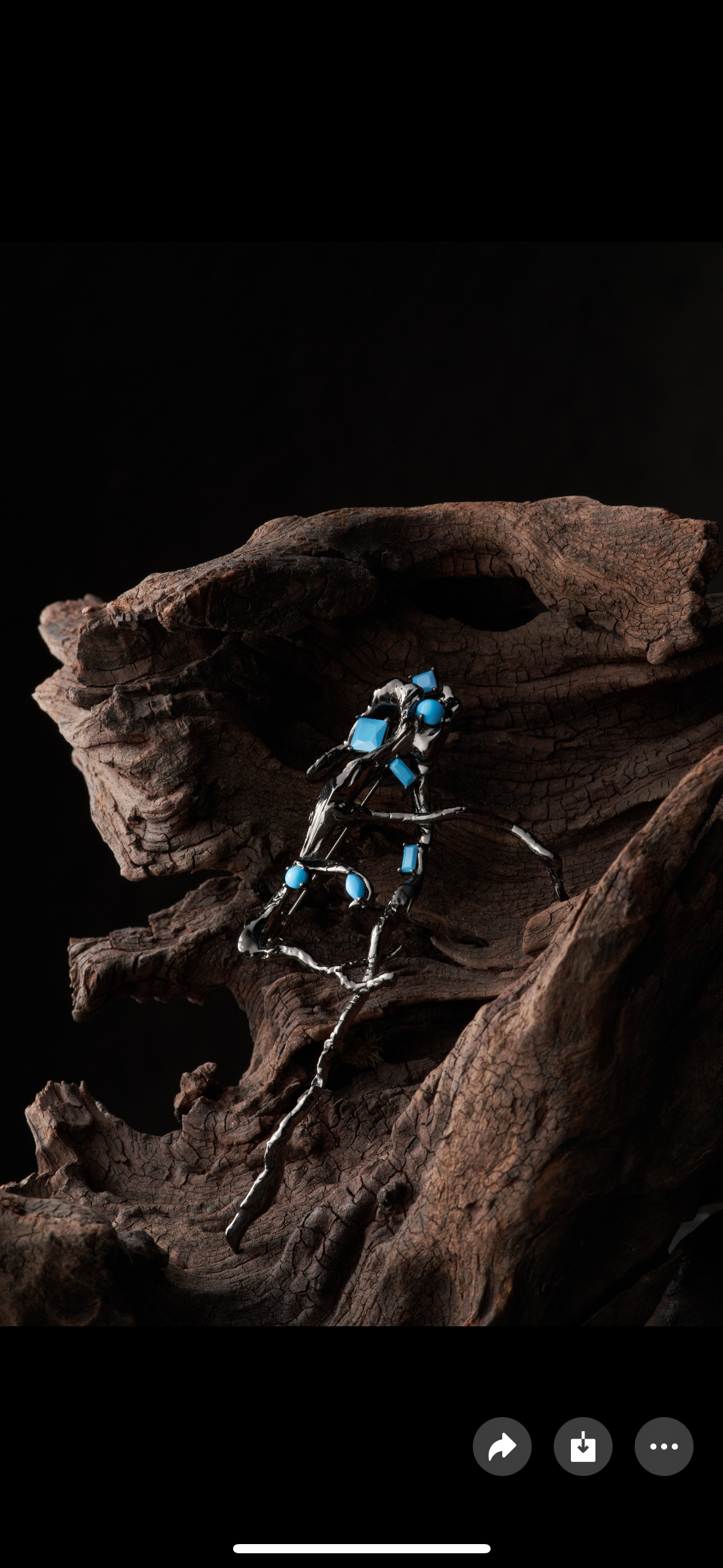 THE BRANCH • BLACK